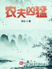 《农夫凶猛》小说封面