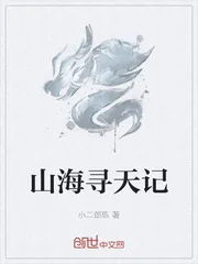 《山海寻天记》小说封面