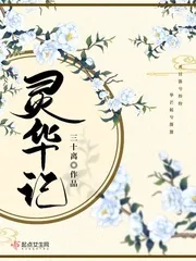 《灵华记》小说封面