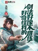 《好奇怪我的剑法好像不难练》小说封面