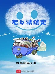 《老乡请淡定》小说封面