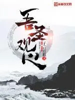 《吾圣观心》小说封面