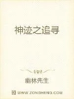 《神迹之追寻》小说封面