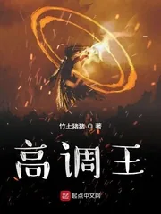 《高调王》小说封面