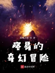 《路易的奇幻冒险》小说封面