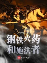 《钢铁火药和施法者》小说封面