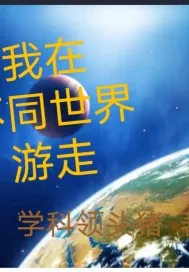《我在不同世界游走》小说封面