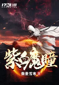 《紫血魔瞳》小说封面