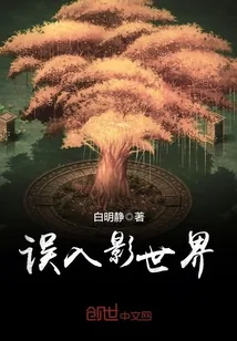 《误入影世界》小说封面