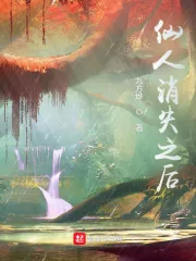 《仙人消失之后》小说封面