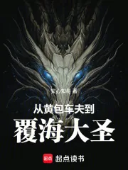 《从黄包车夫到覆海大圣》小说封面