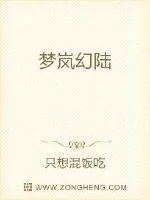 《穿越不够重生来凑》小说封面