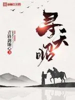 《寻天昭》小说封面