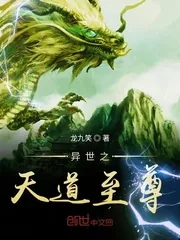 《异世之天道至尊》小说封面