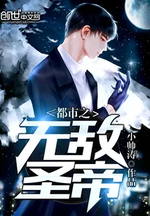 《都市之无敌圣帝》小说封面