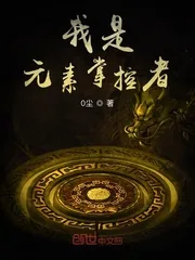 《我是元素掌控者》小说封面