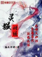 《灵猴传经》小说封面