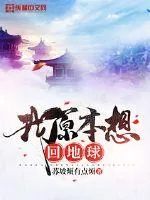 《我原本想回地球》小说封面