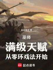 《巫师:满级天赋,从零环戏法开始》小说封面