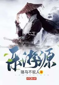 《乐游源》小说封面