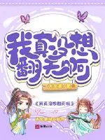 《我真没想翻天啊》小说封面