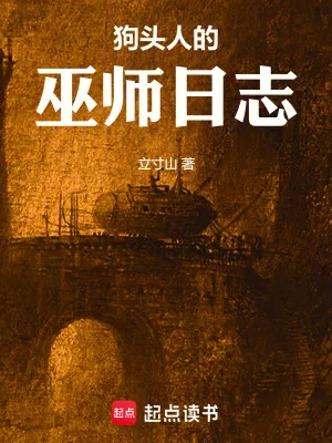 《狗头人的巫师日志》小说封面