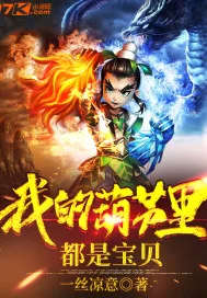 《我的葫芦里都是宝贝》小说封面
