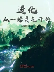 《进化从一缕灵气开始》小说封面