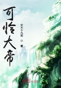 《可怜大帝》小说封面