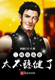 《二师兄实在太不稳健了》小说封面