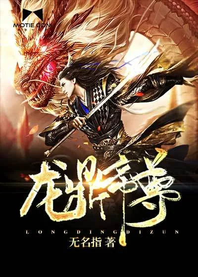 《龙鼎帝尊》小说封面