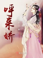 《呼来娇》小说封面