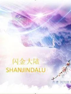 《闪金大陆》小说封面