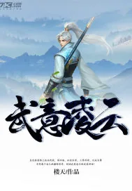 《武意凌云》小说封面