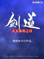 《剑道永无落寞之日》小说封面