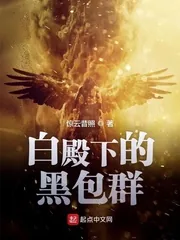 《白殿下的黑包群》小说封面
