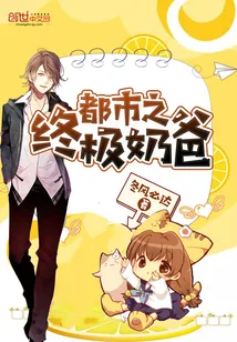 《都市之终极奶爸》小说封面
