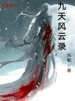 《九天风云录》小说封面