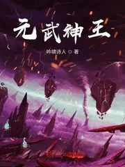 《元武神王》小说封面