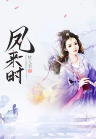 《凤来时》小说封面