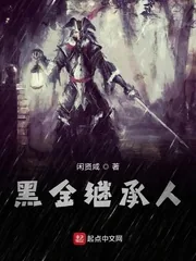 《黑金继承人》小说封面
