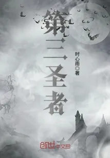 《第三圣者》小说封面
