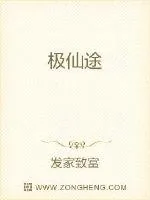 《极仙途》小说封面