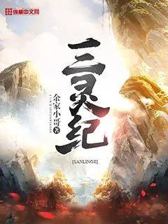 《三灵纪》小说封面