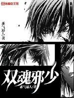 《双魂邪少》小说封面