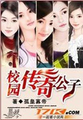 《校园传奇公子》小说封面