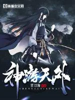 《神游天外》小说封面