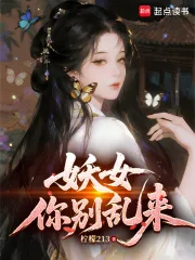 《妖女你别乱来》小说封面