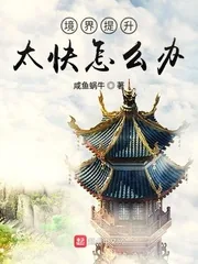 《境界提升太快怎么办》小说封面