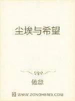 《尘埃与希望》小说封面